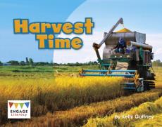 Harvest time