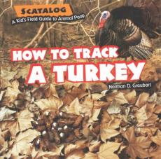 How to Track a Turkey