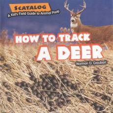 How to Track a Deer