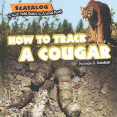 How to Track a Cougar