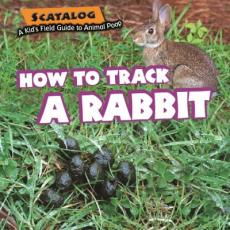 How to Track a Rabbit