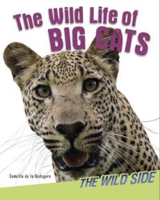 The Wild Life of Big Cats