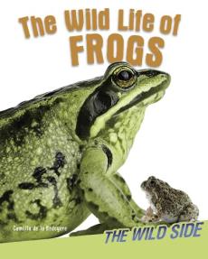 The Wild Life of Frogs