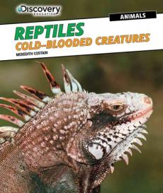Reptiles: Cold-Blooded Creatures