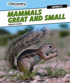 Mammals Great and Small