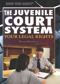 The Juvenile Court System