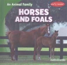 Horses and Foals