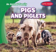 Pigs and Piglets