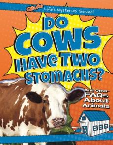 Do Cows Have Two Stomachs?