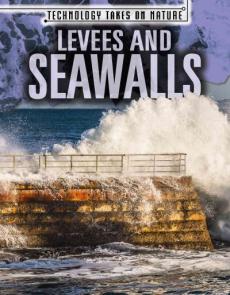 Levees and Seawalls