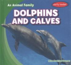 Dolphins and Calves