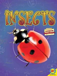 Insects