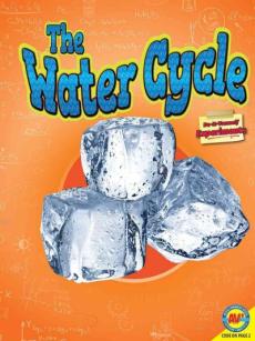 The Water Cycle