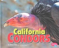 California Condors