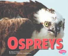 Ospreys