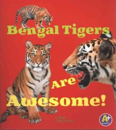 Bengal Tigers Are Awesome!