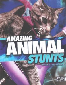 Amazing Animal Stunts