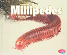 Millipedes