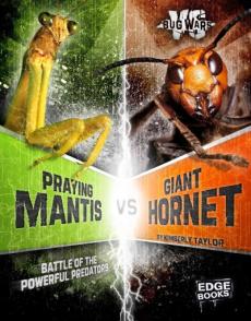 Praying Mantis vs. Giant Hornet