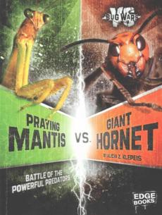 Praying Mantis vs. Giant Hornet