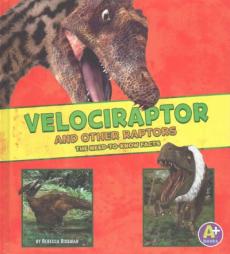 Velociraptor and Other Raptors