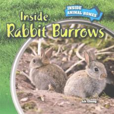 Inside Rabbit Burrows