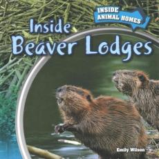 Inside Beaver Lodges