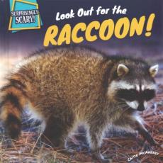 Look Out for the Raccoon!