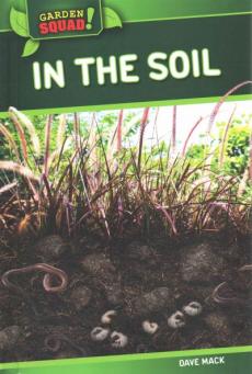 In the Soil