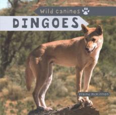 Dingoes