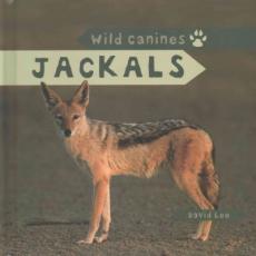 Jackals