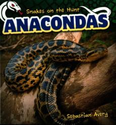 Anacondas