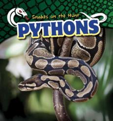 Pythons