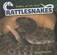 Rattlesnakes