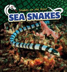 Sea Snakes