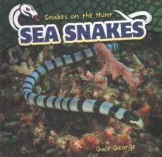 Sea Snakes