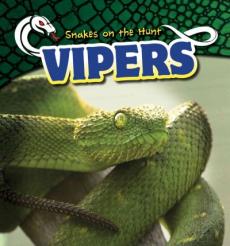 Vipers