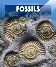 Fossils