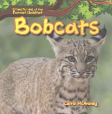 Bobcats