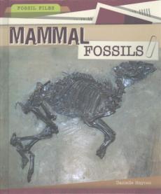 Mammal Fossils