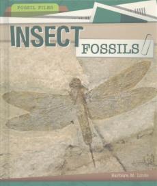 Insect Fossils