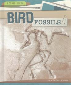 Bird Fossils