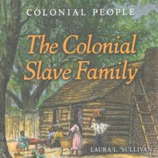 The Colonial Slave Family