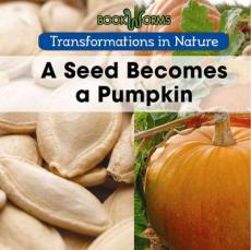 A Seed Becomes a Pumpkin