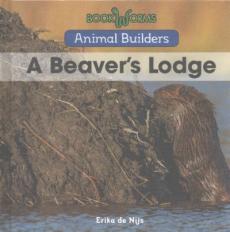 A Beaver's Lodge