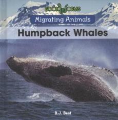 Humpback Whales