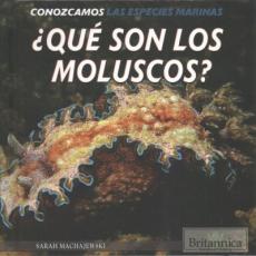 ¿Qué Son Los Moluscos? (What Are Mollusks?)