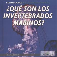¿Qué Son Los Invertebrados Marinos? (What Are Sea Invertebrates?)