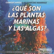 ¿Qué Son Las Plantas Marinas Y Las Algas? (What Are Sea Plants and Algae?)