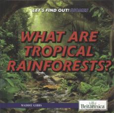 What Are Tropical Rainforests?